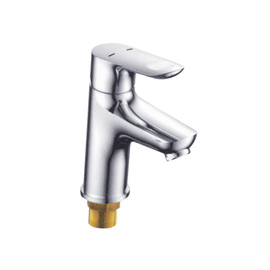 Chr-001 (NUT)