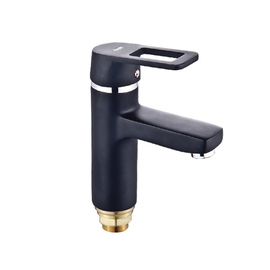 Chr-001 (NUT)